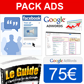 Offre campagne adwords + facebook ads