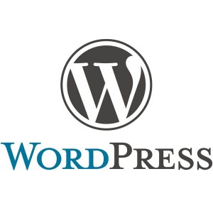 Le thème WordPress 4.2 gratuit de l’été