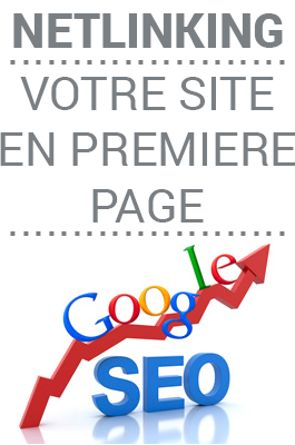 creer-campagne-liens-netlinking-backlink-google-265